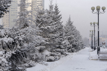 Similar image 21697340