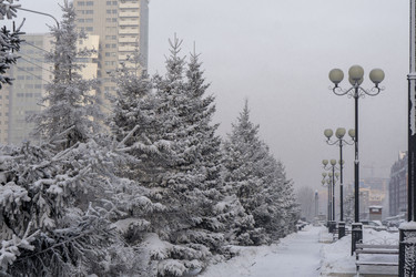 Similar image 21697342