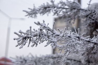 Similar image 21697343