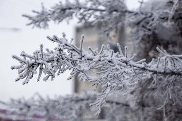 Similar image 21697345