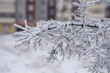 Similar image 21697347