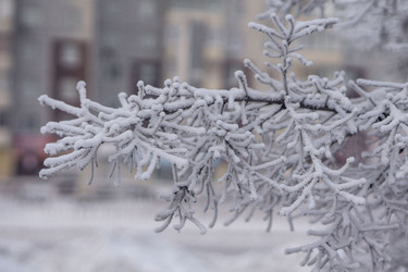 Similar image 21697349