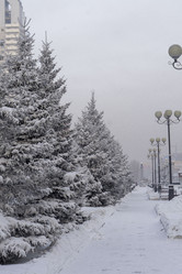 Similar image 21697350