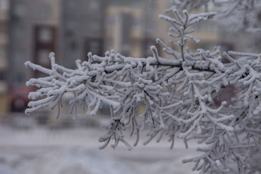 Similar image 21697351