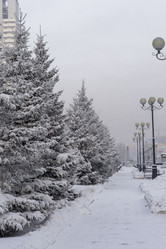 Similar image 21697352