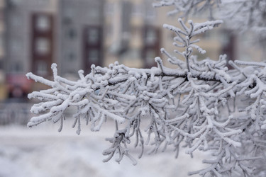 Similar image 21697355