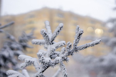 Similar image 21697356