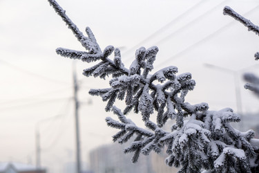 Similar image 21697357