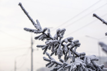 Similar image 21697358