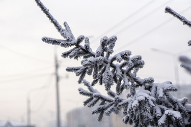 Similar image 21697359