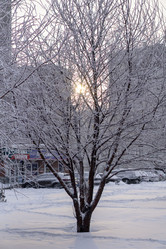 Similar image 21697360