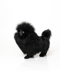 Similar image 21690665