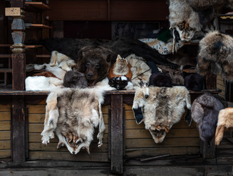 Similar image 21690672