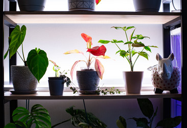 Similar image 21690687