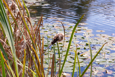 Similar image 21690689