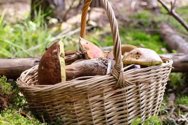 Similar image 21690692