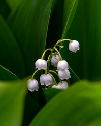 Similar image 21690694