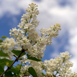 Similar image 21690695