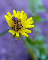 Similar image 21690696