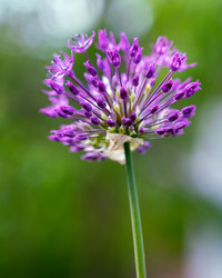 Similar image 21690697