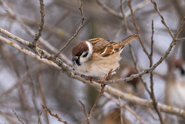 Similar image 21699098