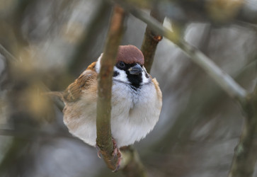 Similar image 21699099