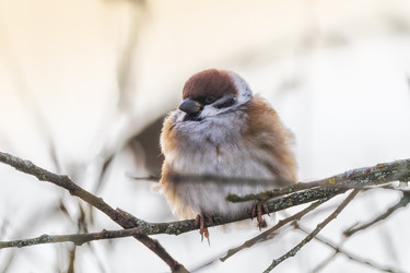 Similar image 21699100