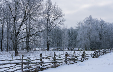 Similar image 21699102