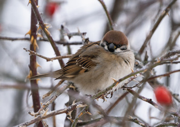 Similar image 21699103