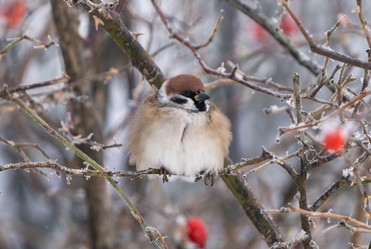 Similar image 21699104