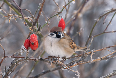 Similar image 21699105