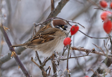 Similar image 21699107