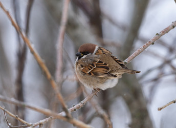 Similar image 21699109