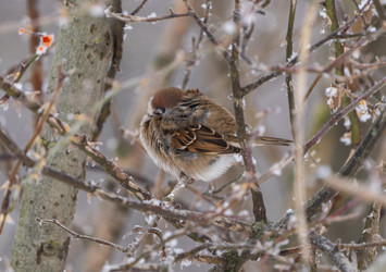 Similar image 21699110