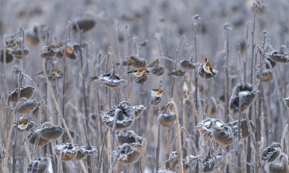 Similar image 21699111