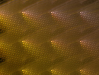 Similar image 21694816