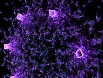 Similar image 21694830