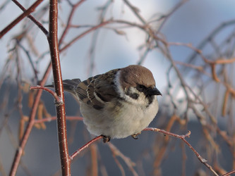 Similar image 21692177