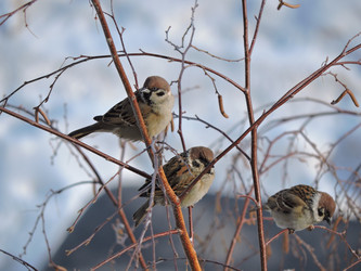 Similar image 21692178