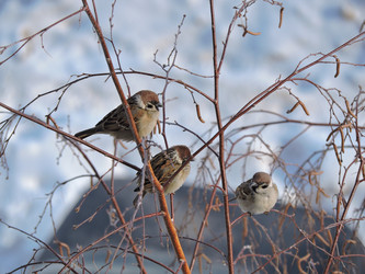 Similar image 21697361