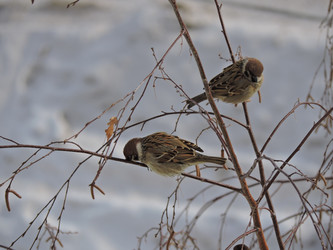 Similar image 21695712