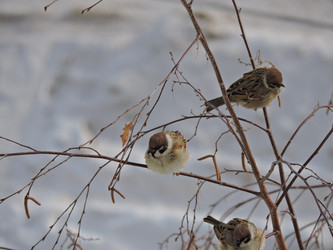 Similar image 21693452