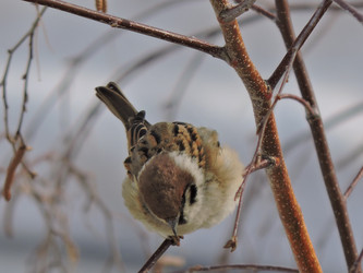 Similar image 21692179