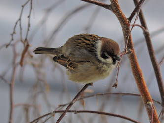 Similar image 21692180