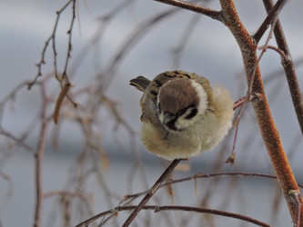 Similar image 21692181