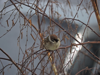 Similar image 21692182