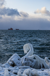 Similar image 21690709