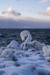 Similar image 21690710