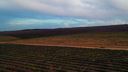 Similar image 21697214