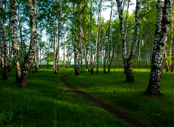 Similar image 21690877